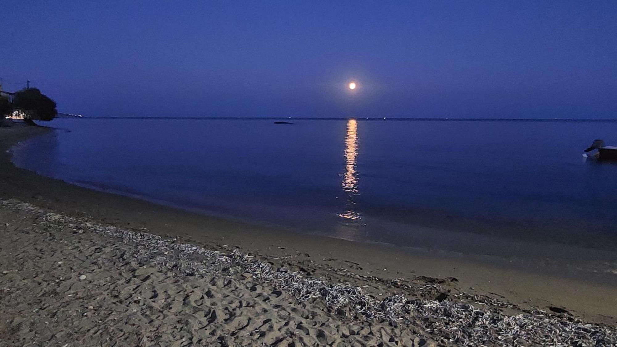Fotis Beach Apartment At Komi كومي المظهر الخارجي الصورة